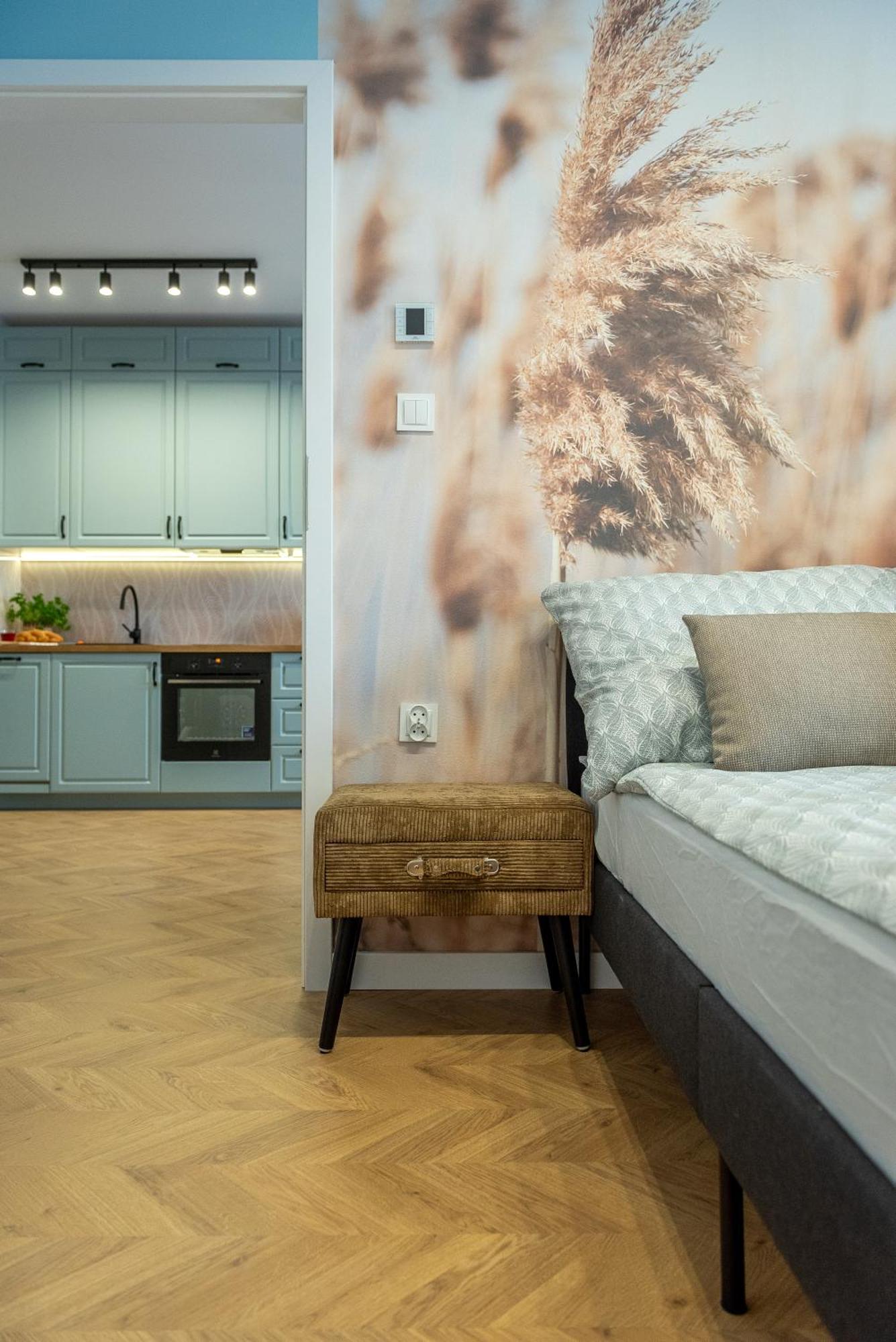 Boho Grunwaldzka 25 Apartment Bydgoszcz